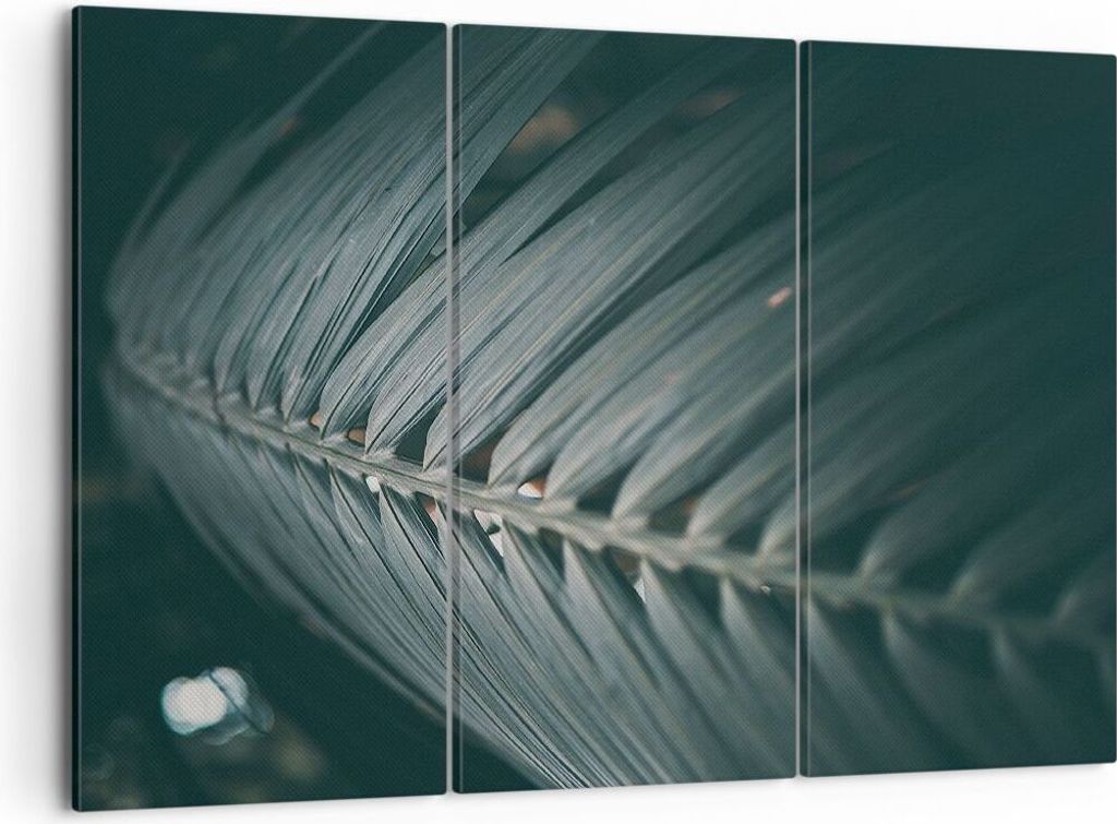 Bild auf Leinwand - Leinwandbild - 3 Teile - Blatt Palme exotisch - 105x70cm - Wand Bild - Wanddeko - Wandbilder - Leinwanddruck - Bilder - Wanddek...