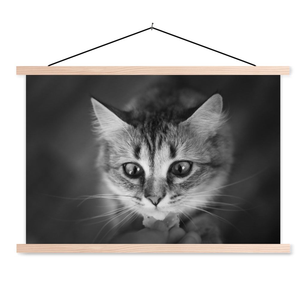 MuchoWow Textilposter Tierprofil riechende Katze in schwarz und weiß 60x40 cm mit holzfarbenen Rahmen - Bilder