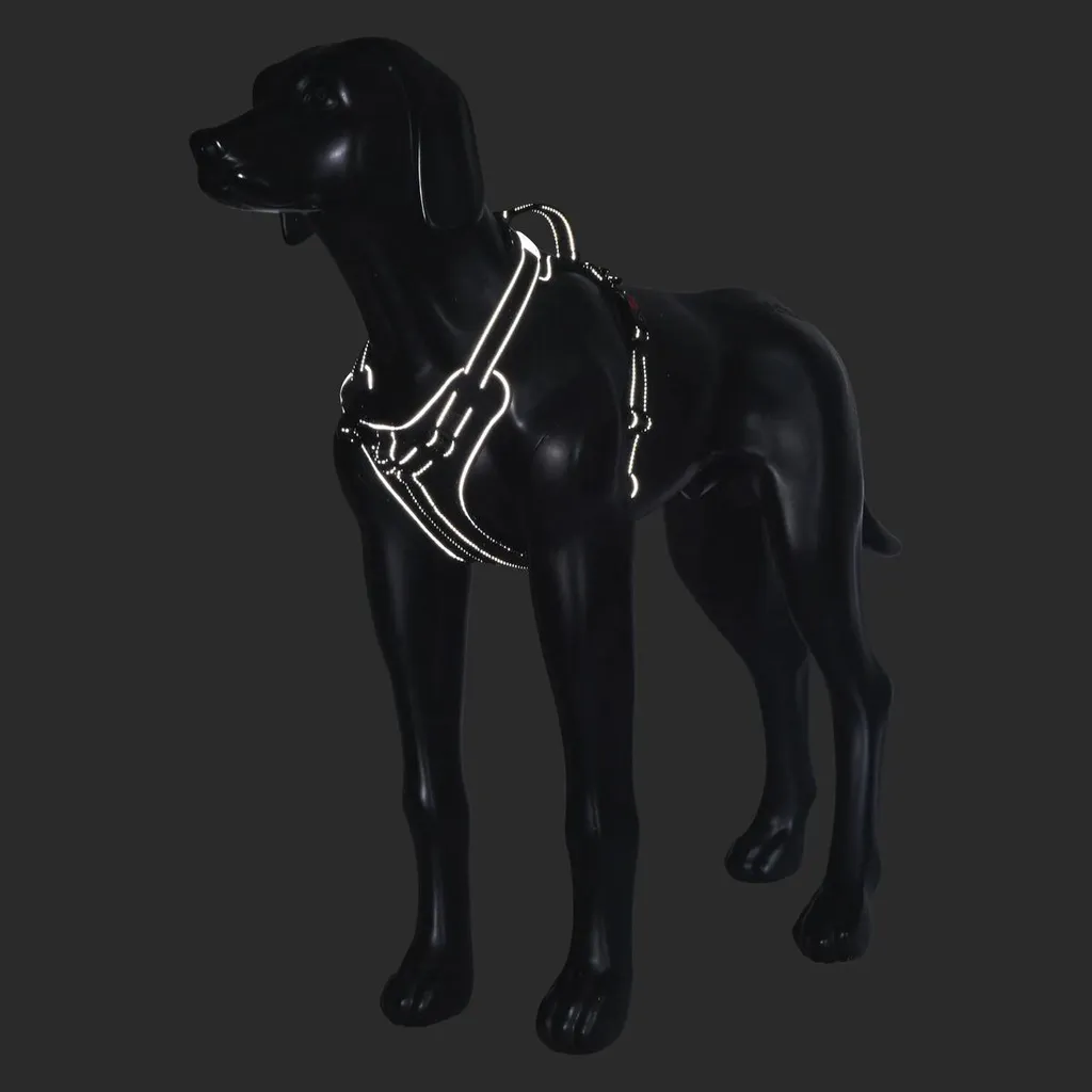 Rukka Pets Solid Harness M Black: Pettorina Tecnica Alta Resistenza - 3