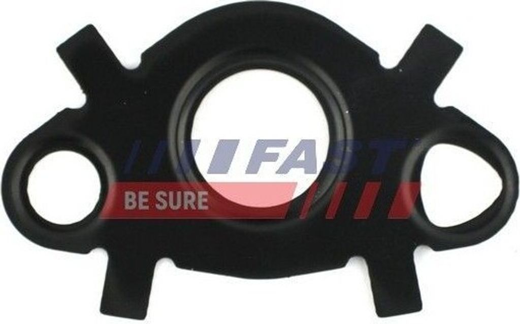 FAST FT49547 - OE 1104 48 Dichtung, Ölkühler für Jumper, Ducato, Boxer