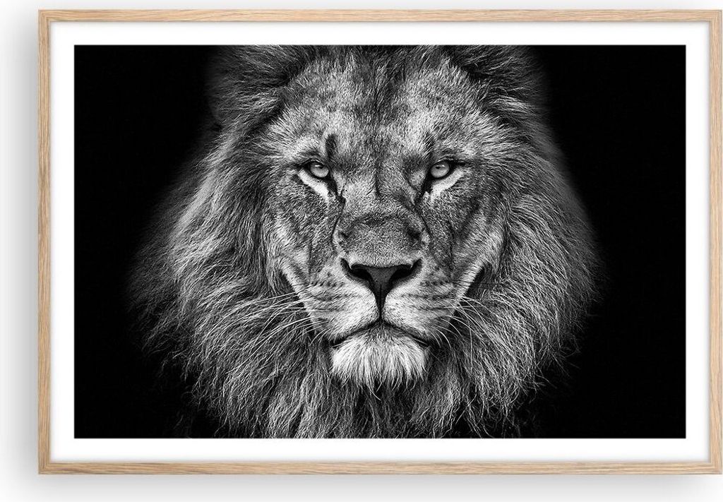 Gerahmtes Poster - Rahmen in heller Eiche - Porträt Löwe Schwarzweiß - 91,5x61 cm - Wand Bild - Wanddeko - Wandbilder - Kunstposter - Wandposter...