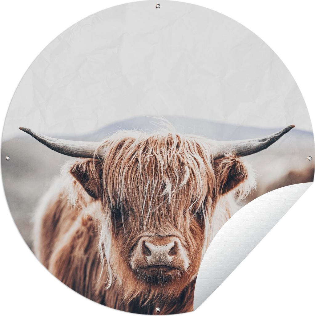 MuchoWow Gartenposter Outdoor-Poster Rund Schottischer Highlander - Berg - Hoorn Ø 120 cm Gartendeko Rundes Poster draußen