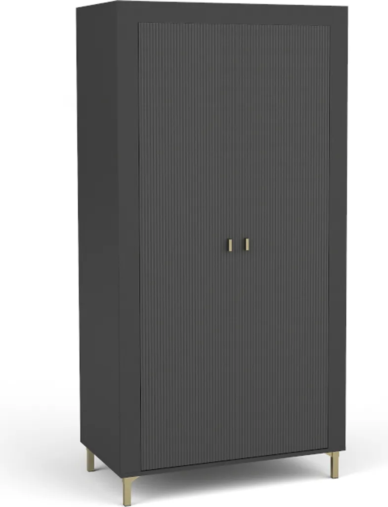 Armoire de rangement 2 portes battantes ASSO 1 contre le désordre