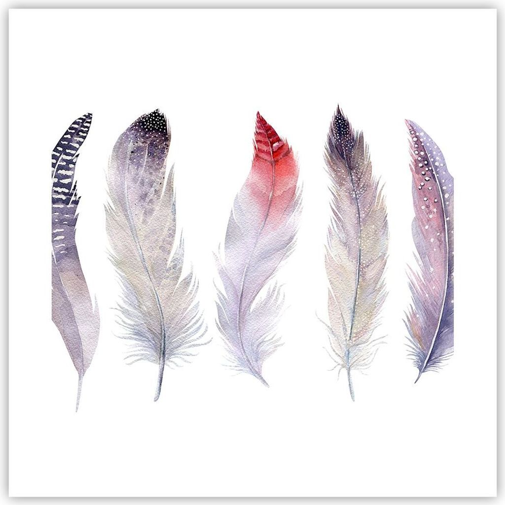 Poster - Poster ohne Rahmen - Feder Tier Vogel Komposition - 40x40 cm - Wand Bild - Wanddeko - Wandbilder - Kunstposter - Wandposter - Bilder - Kun...