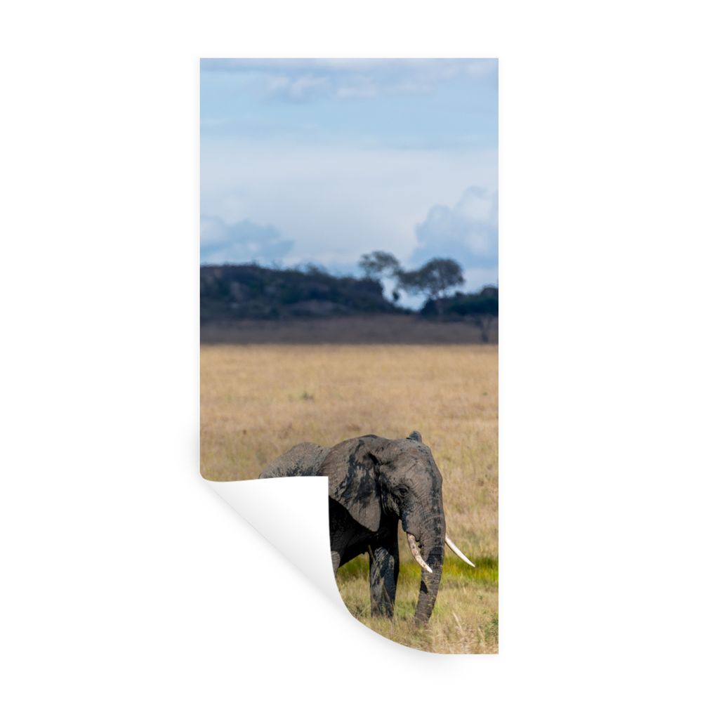 MuchoWow Wandtattoo Wandsticker Wandaufkleber Elefant - Gras - Tiere - Natur 60x120 cm Selbstklebend und Repositionierbar - Selbstklebend - Fotot...