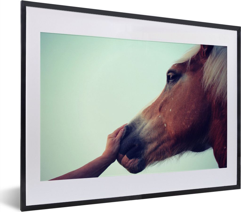 MuchoWow MuchoWow Gerahmtes Poster Haflinger Pferd 40x30 cm - Poster mit zchwarzem Bilderrahmen - Bilderrahmen - Poster im Rahmen