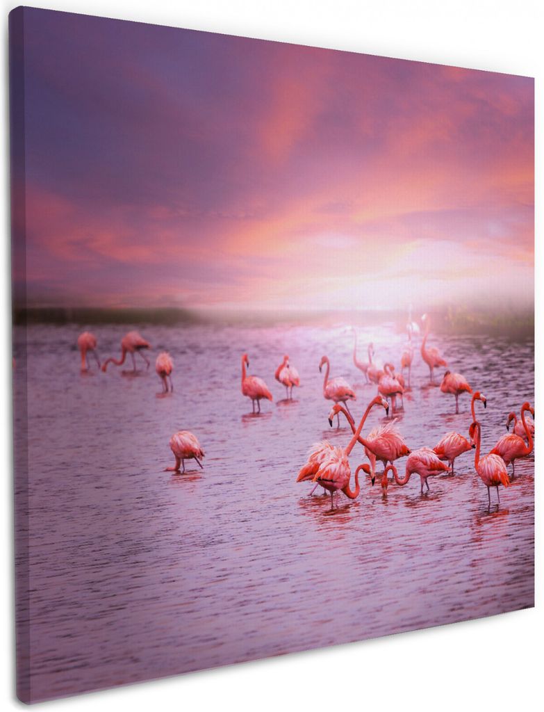 Wallario Premium Leinwandbild Rosa Flamingos bei Sonnenuntergang in Größe 50 x 50 cm