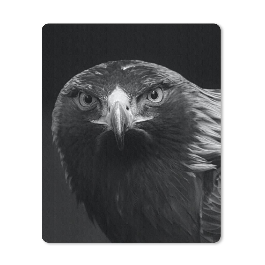 MuchoWow Mauspad Mousepad Bussard - Vogel - Tiere - Schwarz - Weiß 30x40 cm - Mousepads - Maus Mat - Pad - Mausunterlage - Mausmatten