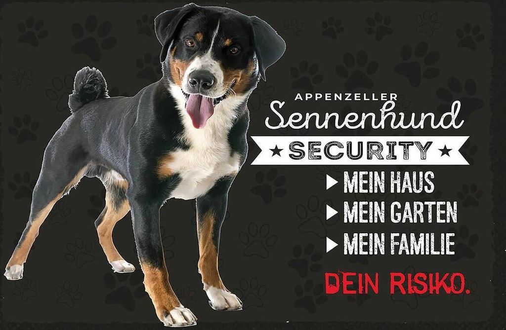 vianmo Holzschild 12x18 cm Sennenhund Security mein Haus