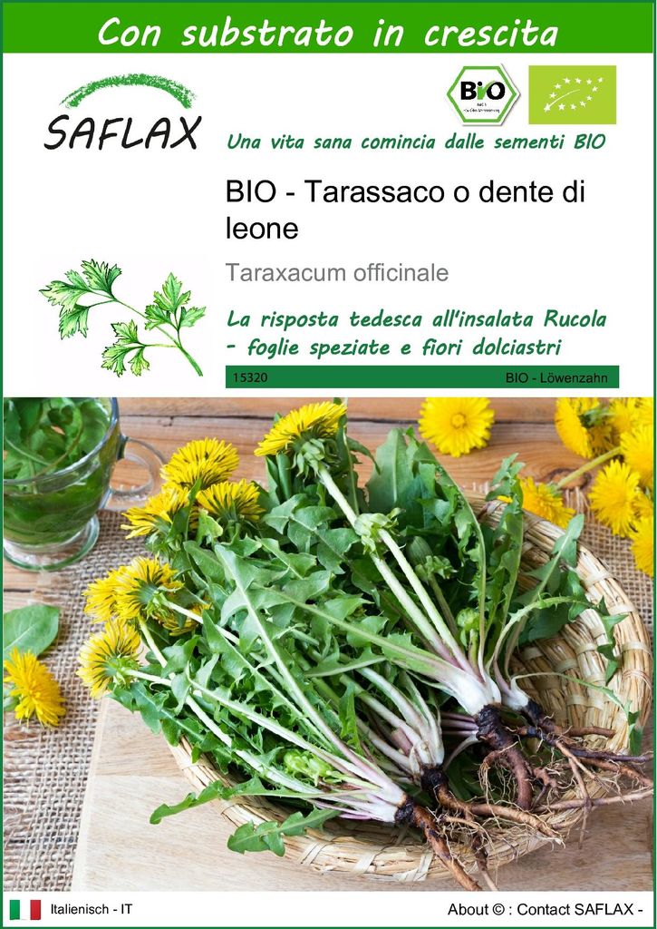 SAFLAX  -- Tarassaco o dente di leone - 400 semi - Con Immagine del prodotto 