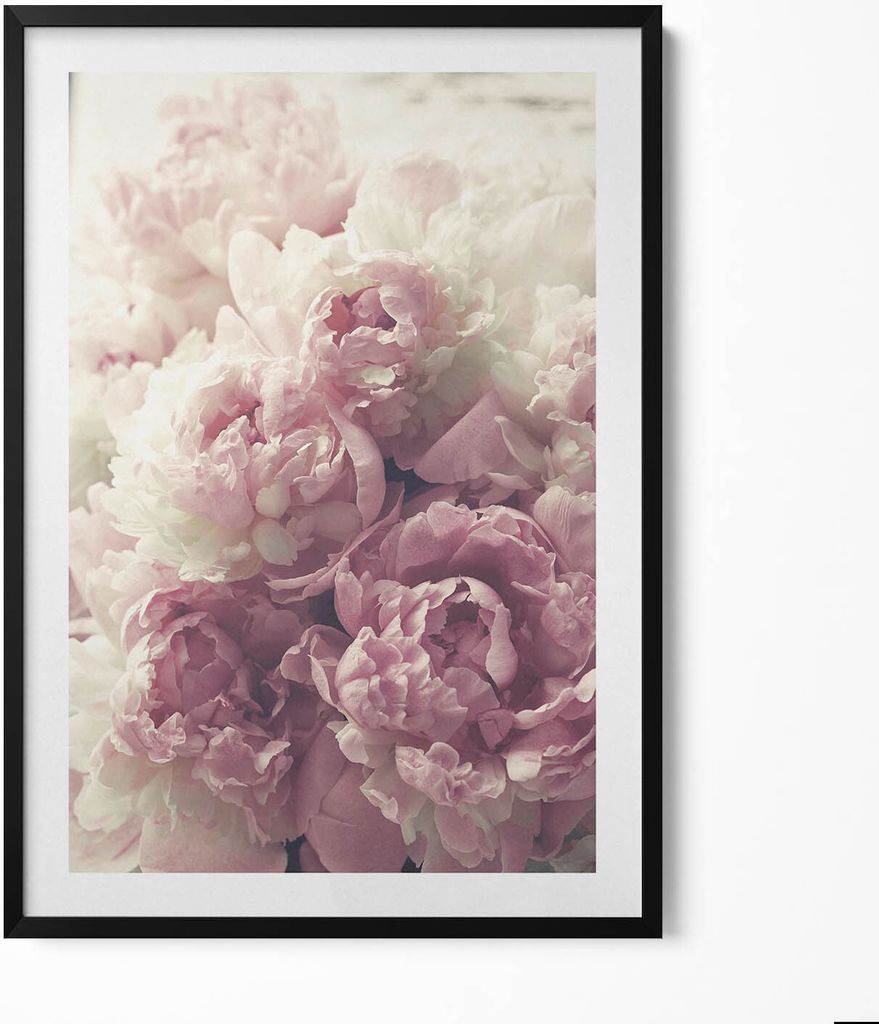 Subtile Blumen Pfingstrosen– Wandbild mit Rahmen – Gerahmtes Bild – Wanddekoration – 70x100 cm – Schwarz Rahmen