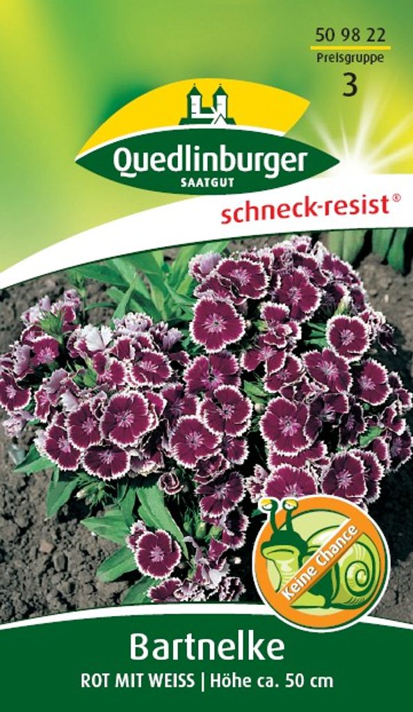 Quedlinburger Saatgut - Bart-Nelken Rot mit Weiß - Samen - 509822