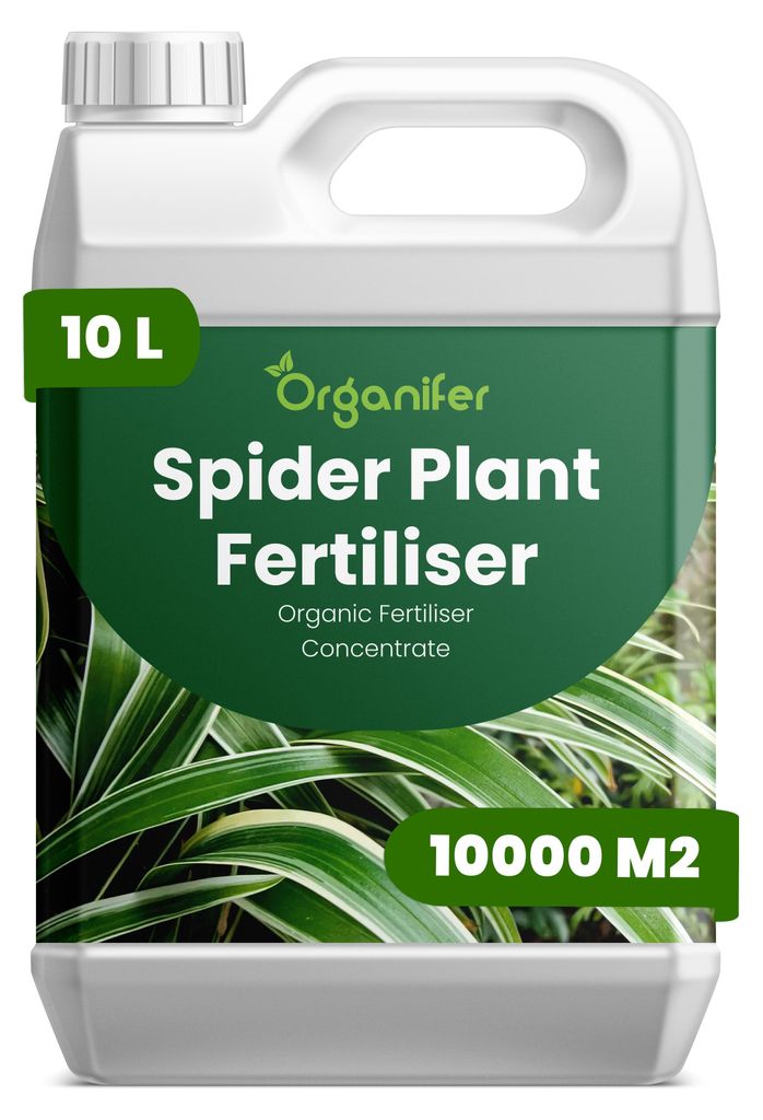 Grünlilien Flüssigdünger 10L – 2-1-8 NPK – Flüssig-Pflanzendünger für große Zimmerpflanzen, Chlorophytum & Innenraumbegrünung – Organ...