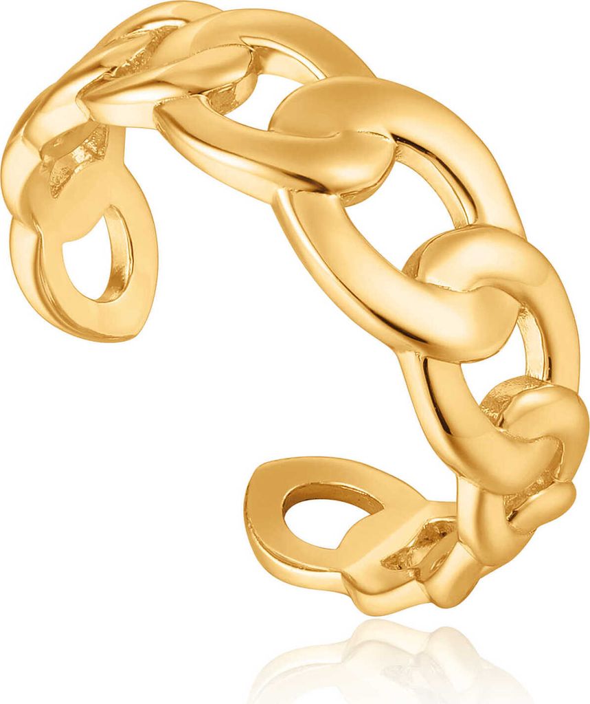Ania Haie Jewellery R021-01G Damenring Produktbild 