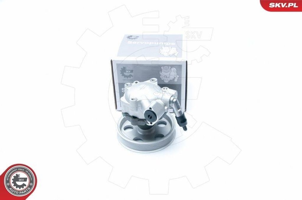 ESEN SKV 10SKV185 Servolenkung Pumpe Servopumpe für AUDI Q5 (8RB)