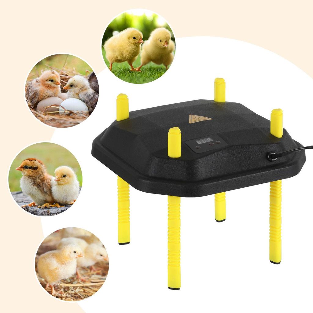 Ikodm Podgrzewacz dla piskląt 25 x 25 cm, 30 W, z Zdjęcie produktu 