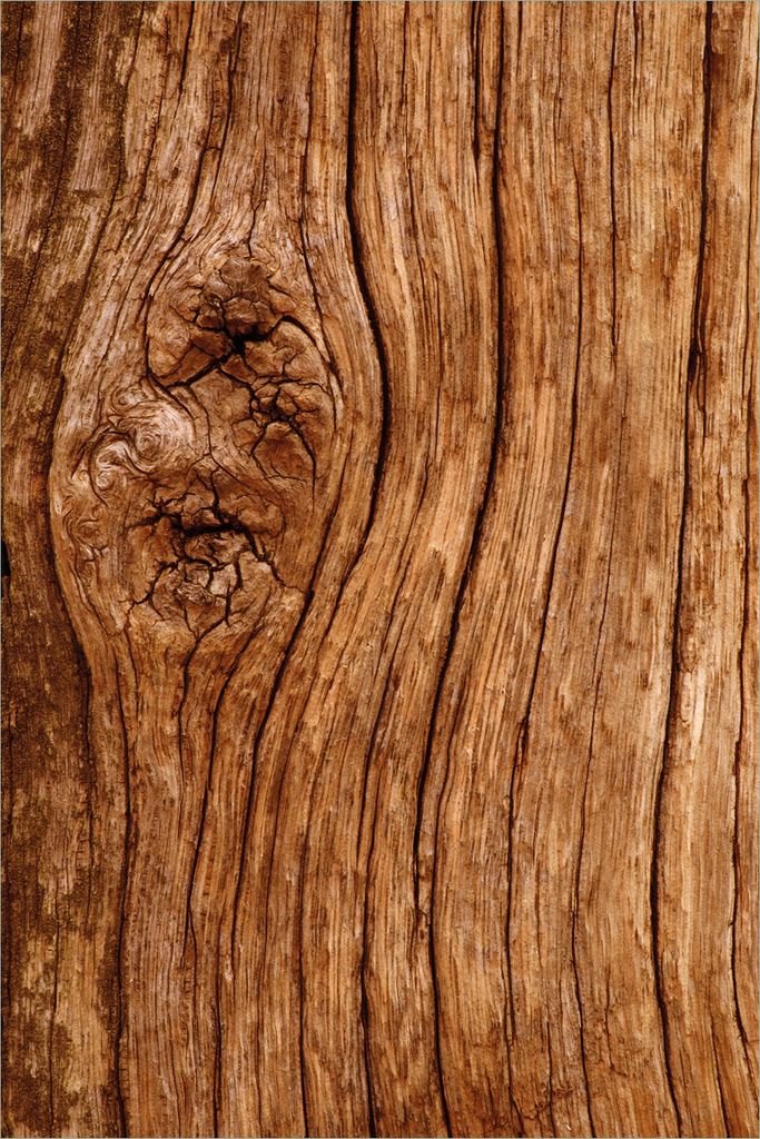 Wallario selbstklebendes Poster - Holzstamm mit Produktbild 