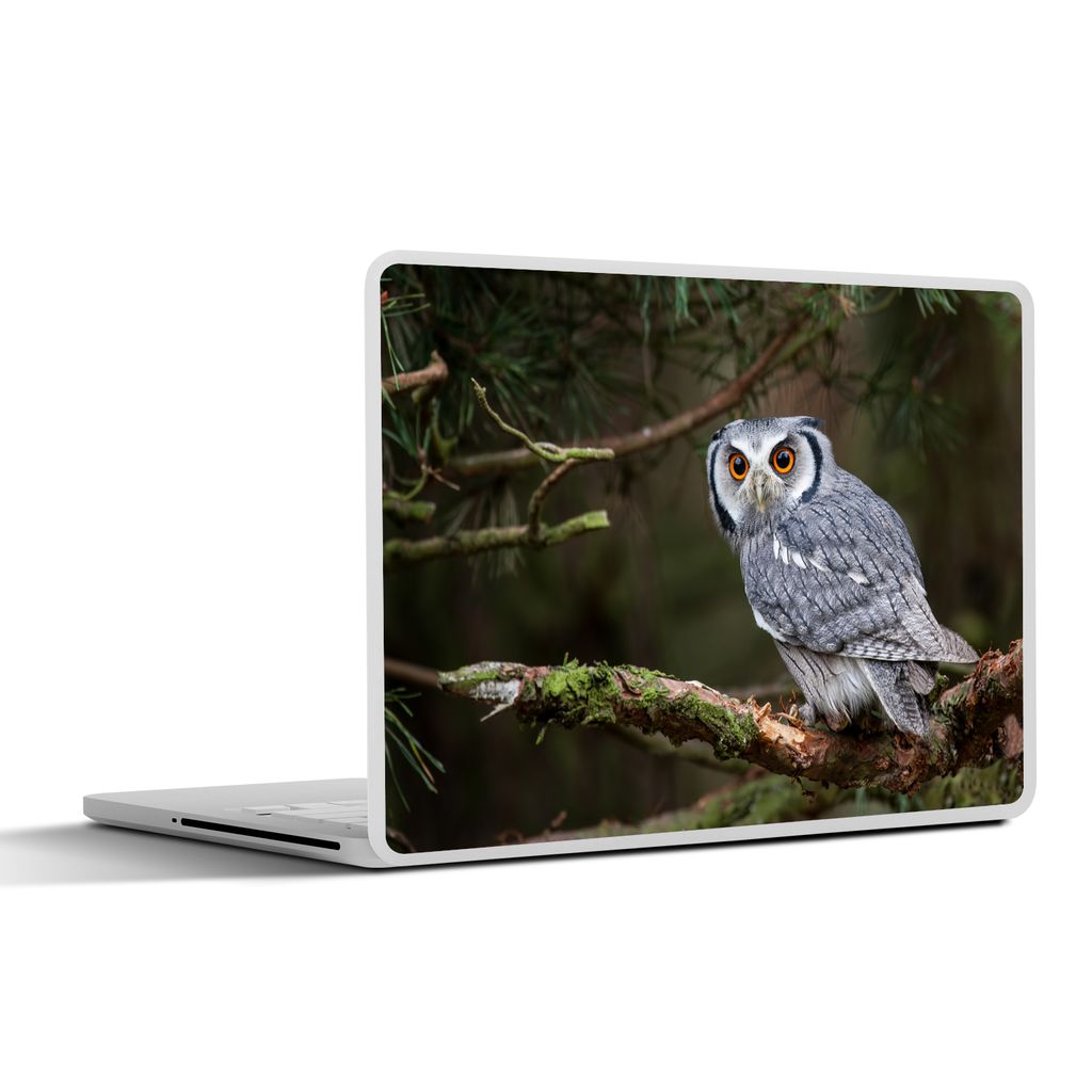 MuchoWow Laptop Aufkleber Sticker Cover Eule - Vogel - Äste - Natur 31x22.5 cm - Laptop-Deko