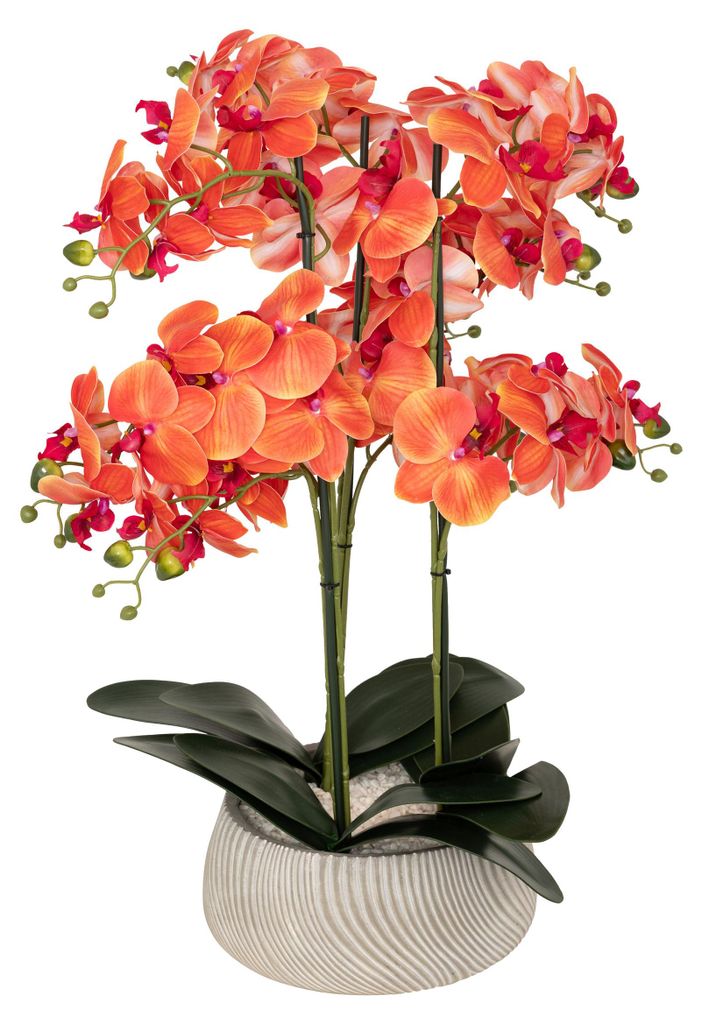 Umelý kvet v kvetináči, orchidea SANAE, 65 cm Obrázok produktu 
