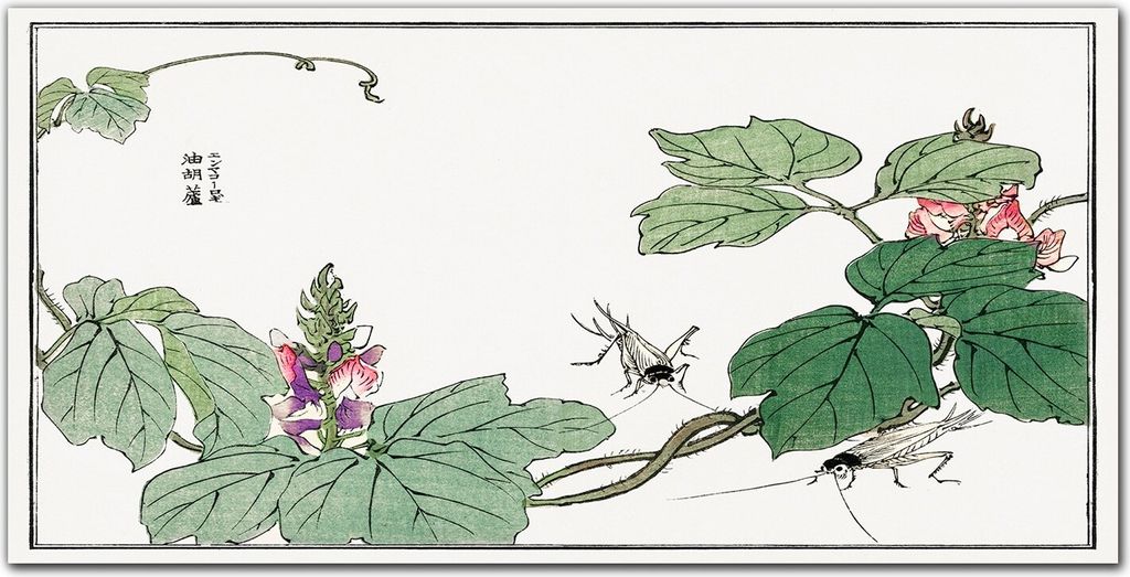 Coloray Bild aus Acryl 140 cm x 70 cm - Wohnzimmer Bild auf Acrylglas Wanddekoration Gehärtetes Acryl Dekoration Küche - Asiatische Insekten Liste