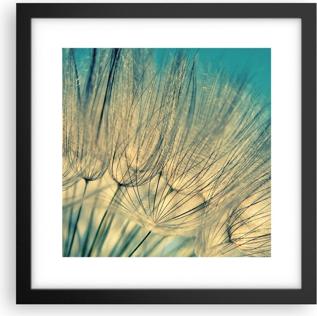 Gerahmtes Poster - Schwarzer Rahmen - Löwenzahn Makro Löwenzahn - 30x30 cm - Wand Bild - Wanddeko - Wandbilder - Kunstposter - Wandposter - Bilde...