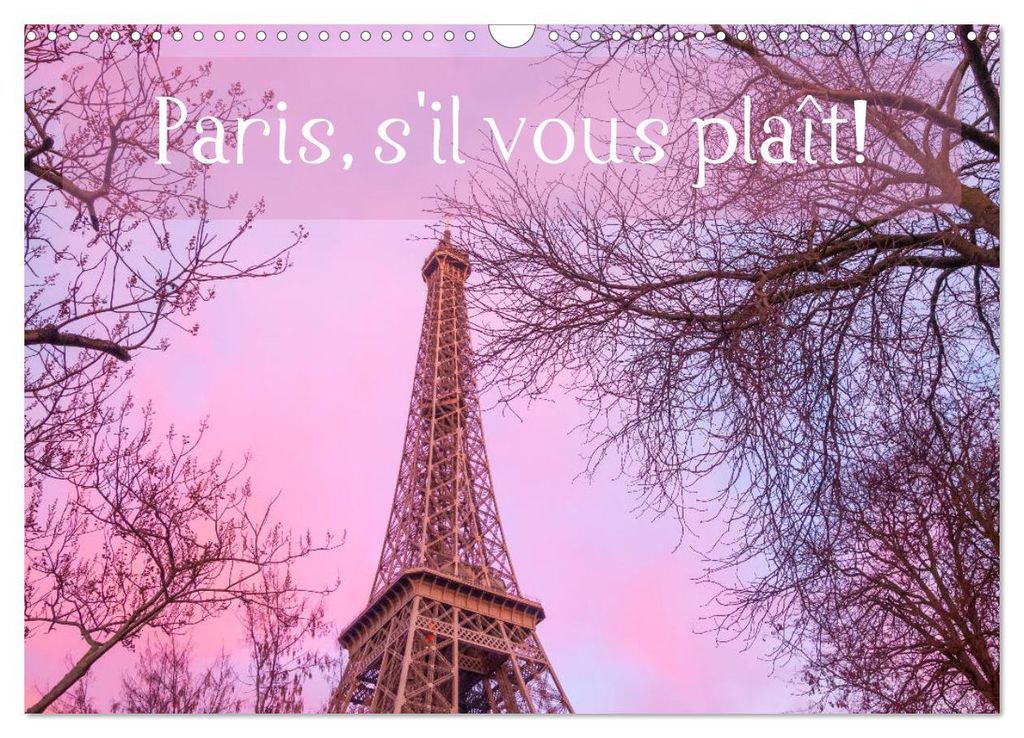Paris, s'il vous plaît! (Wandkalender 2027 DIN A3 quer), CALVENDO Monatskalender