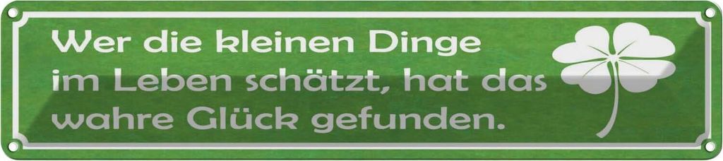 vianmo Blechschild 10x46 cm wer kleine Dinge schätzt Glück Spruch Zitat