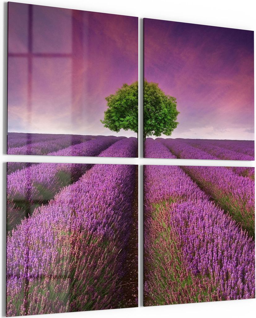 DEQORI Glasbild Echtglas 4x50x50 cm 'Baum in Lavendelreihen' Wandbilder XXL groß