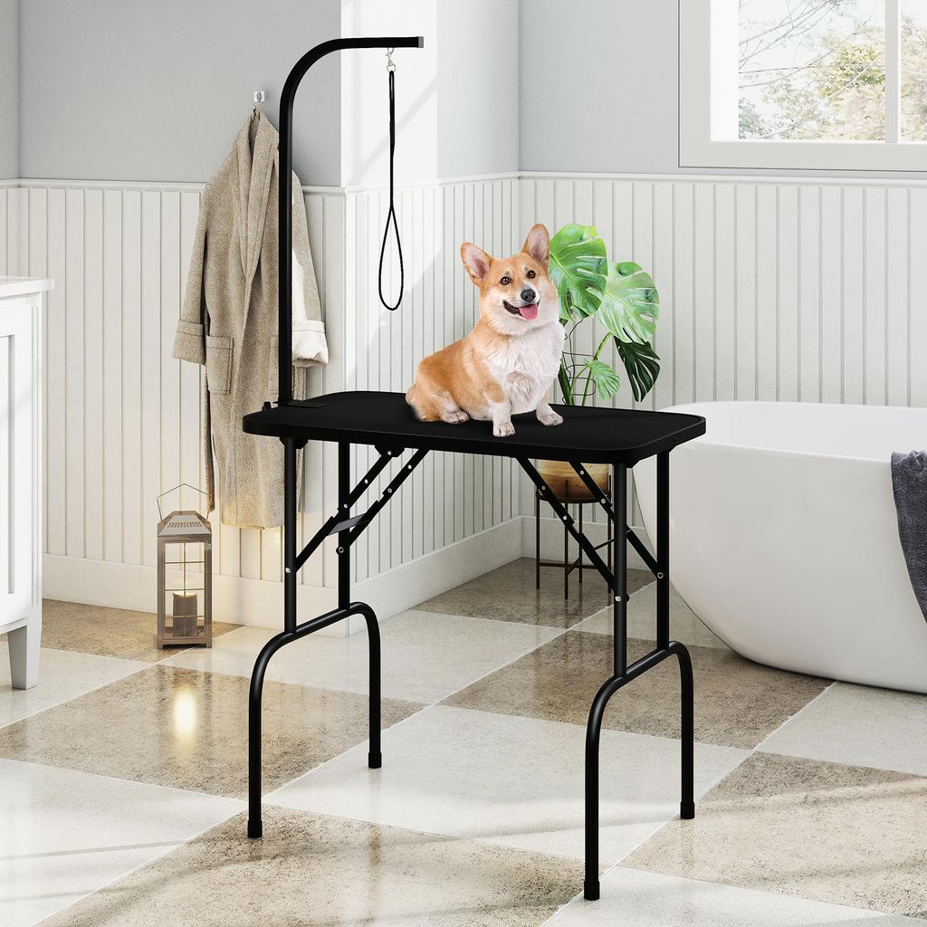 A dog grooming table is set up in a bathroom with a bathtub and a bathrobe hanging on a rack.