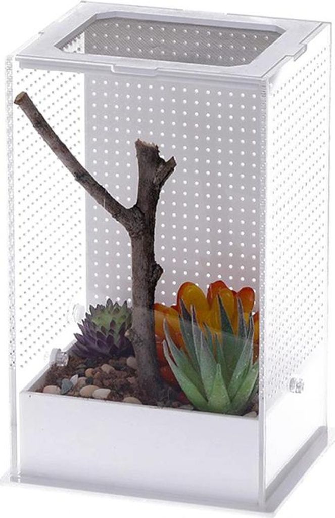 Repti-Zoo Mantis Box M - Acrylterrarium für Heuschrecken Repti-Zoo