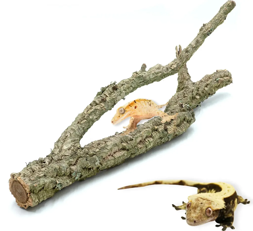 Branche de chêne-liège 40cm BioBranch : perchoir naturel et décor de cage