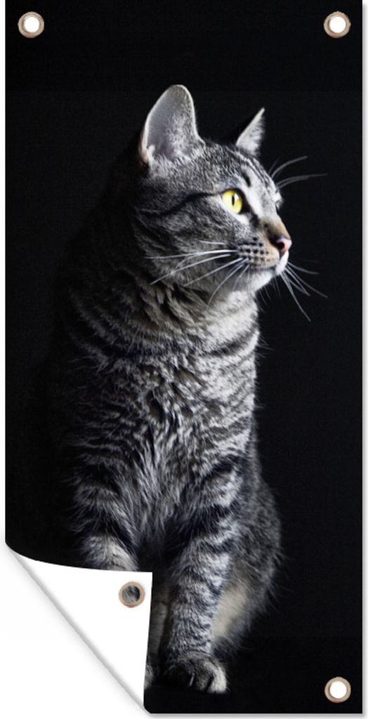 MuchoWow 40x80 cm Outdoor-Poster Gartendeko Sichtschutz Garten Poster für den Garten Katze schaut weg