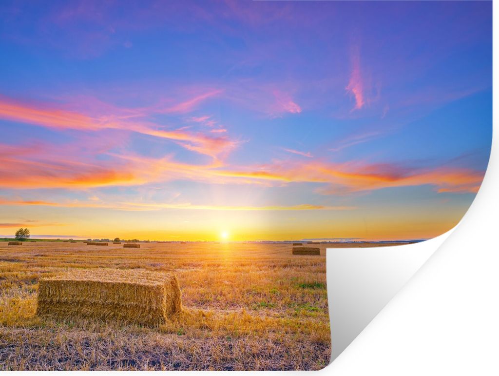MuchoWow Wandtattoo Wandsticker Wandaufkleber Stroh - Sonne - Himmel - Landschaft 80x60 cm Selbstklebend und Repositionierbar - Faltenfrei
