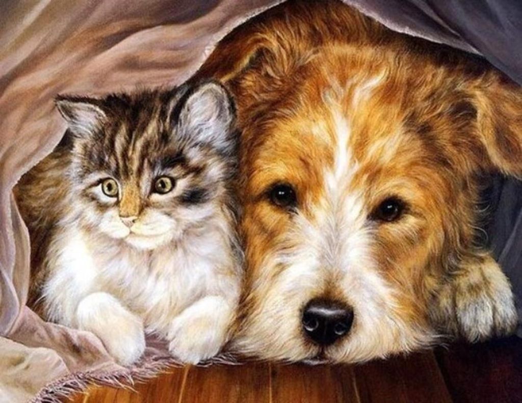 Diamond Painting Vollbild 50x70 cm mit runden Steinen