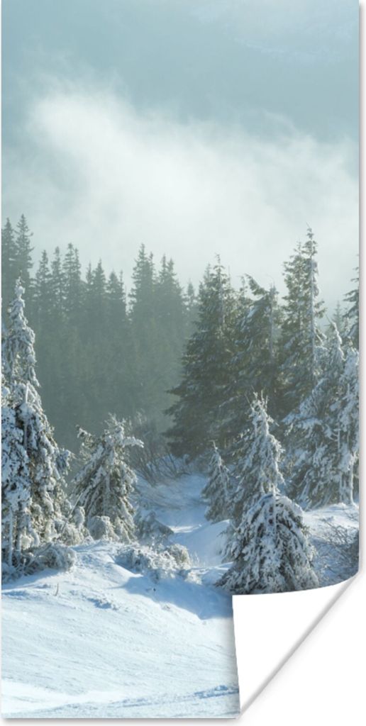 MuchoWow Poster Wald - Schnee - Winter 80x160 cm - Kinderzimmer