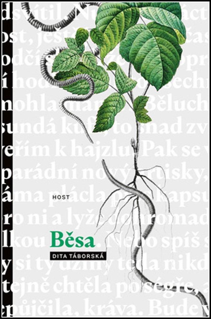 Běsa (Táborská Dita)