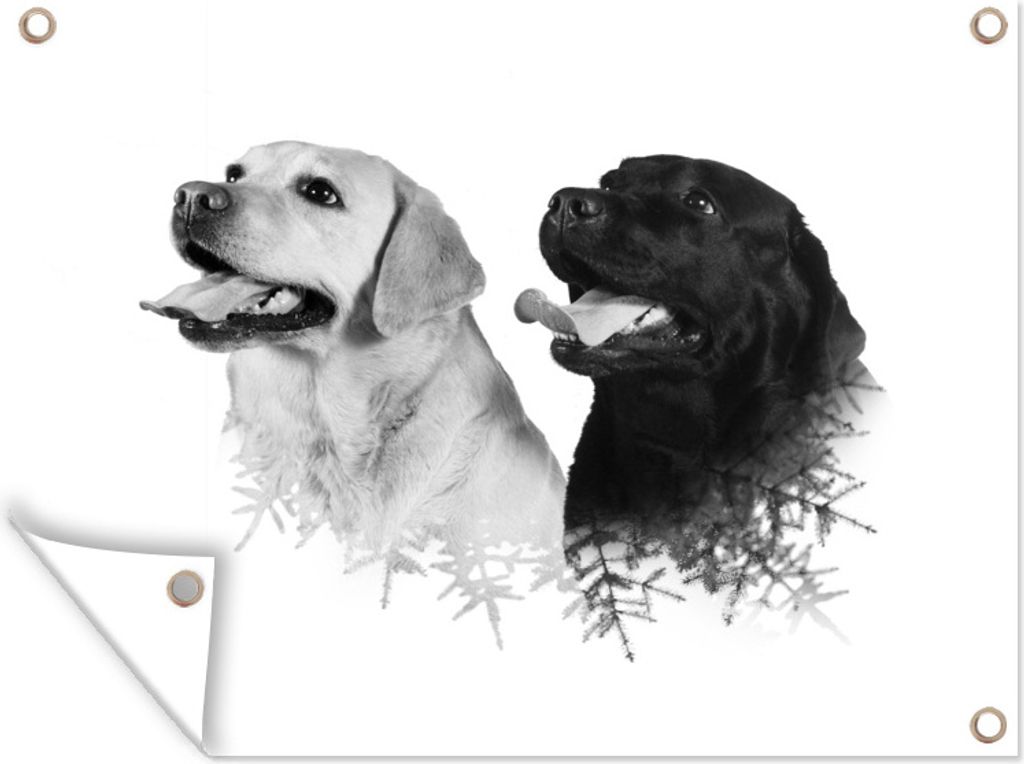 MuchoWow 40x30 cm Outdoor-Poster Gartendeko Sichtschutz Garten Poster für den Garten Hund - Zweig - Schwarz - Weiß