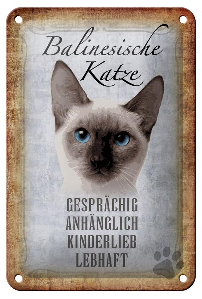 Blechschild Spruch 12x18cm balinesische Katze Schild