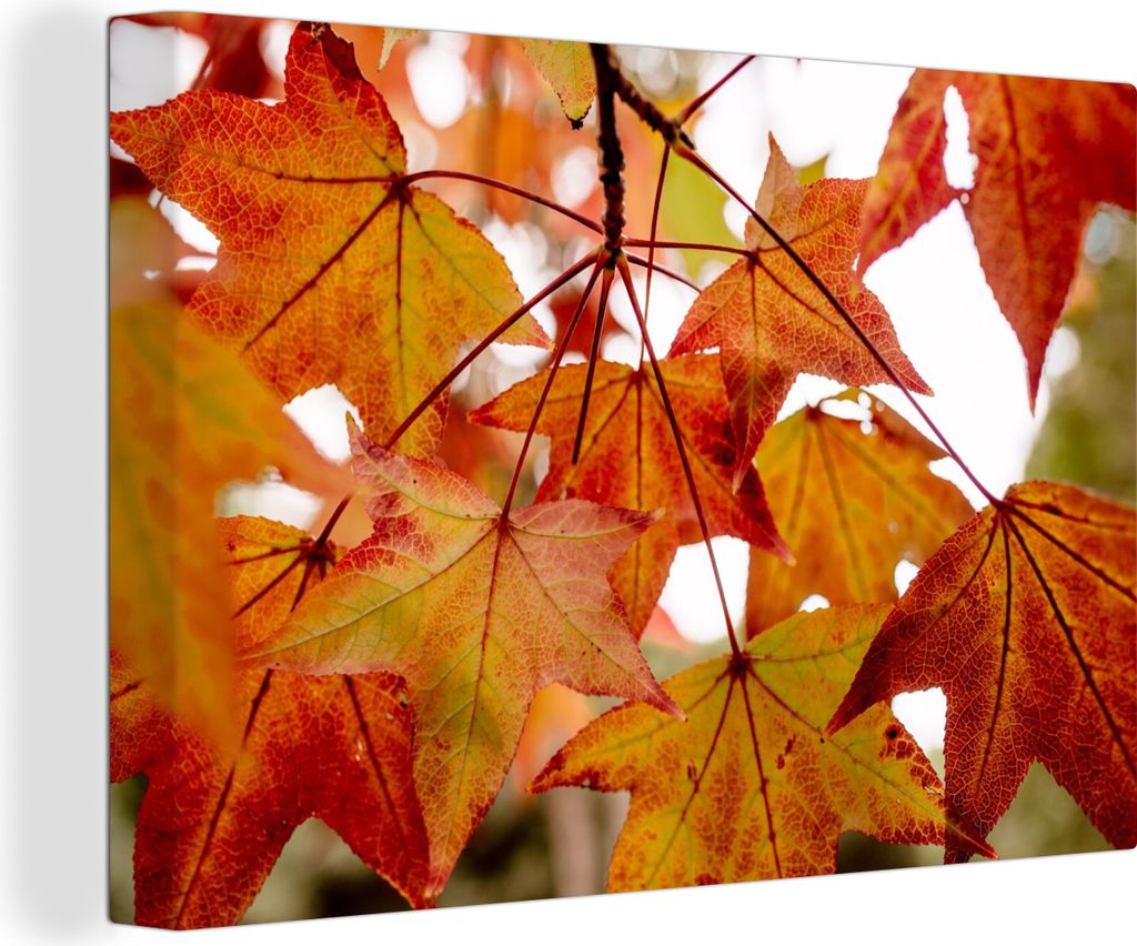 OneMillionCanvasses - Leinwandbilder - 140x90 cm, Herbstzweige - Blätter - Jahreszeiten - Landleben, Wandbilder Kunstdruck Wanddekoration - Foto...