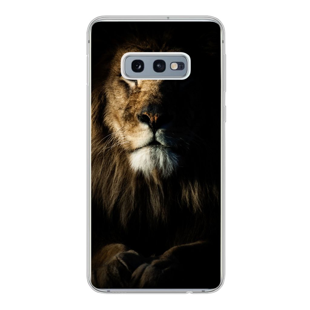 MuchoWow Handyhülle Schutzhülle Hülle für Samsung Galaxy S10e Löwe - Licht - Porträt Silikon Softcase Handy Hülle - Handy