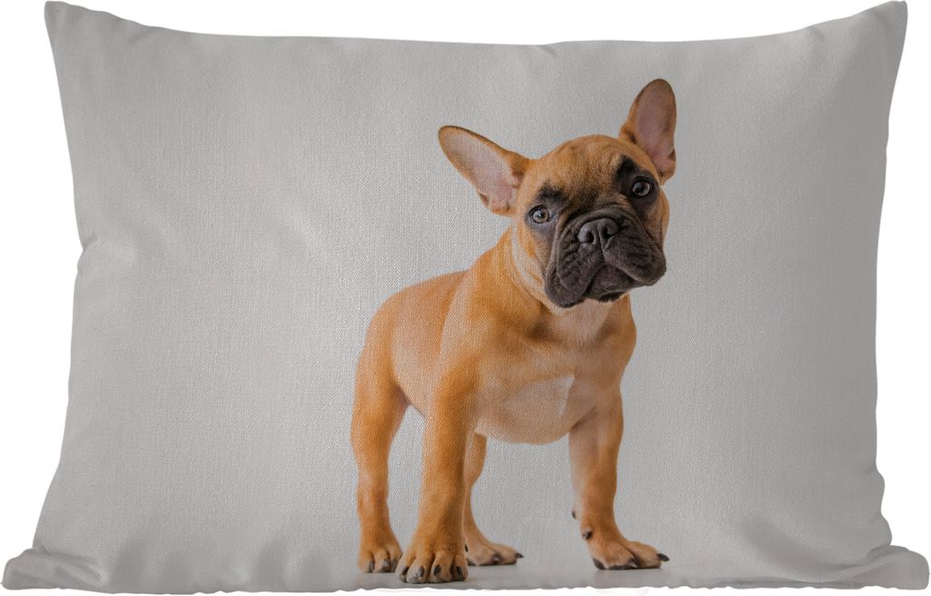 MuchoWow Outdoor Kissen - Französische Bulldogge - Braun - Weiß - 50x30 cm - Wetterfest - Lounge Kissen - Sofa kissen - Wohnzimmer Dekoration