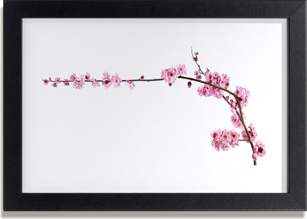 Bild 30x20 MDF-Rahmen Wandkunst Flowers On The Wall