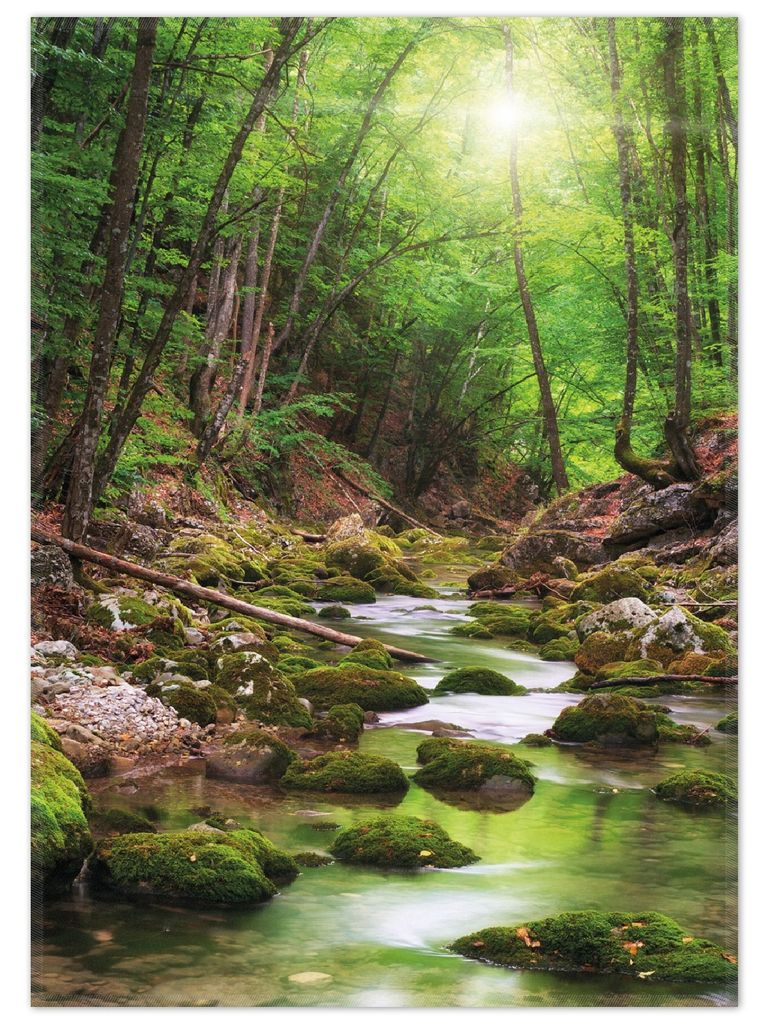 Wallario Premium Teppich, Größe 50 x 70 cm, Fluss im Wald