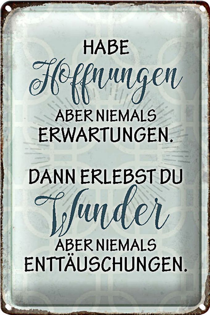 Blechschild Spruch 40x30cm habe Hoffnungen nie Erwartungen