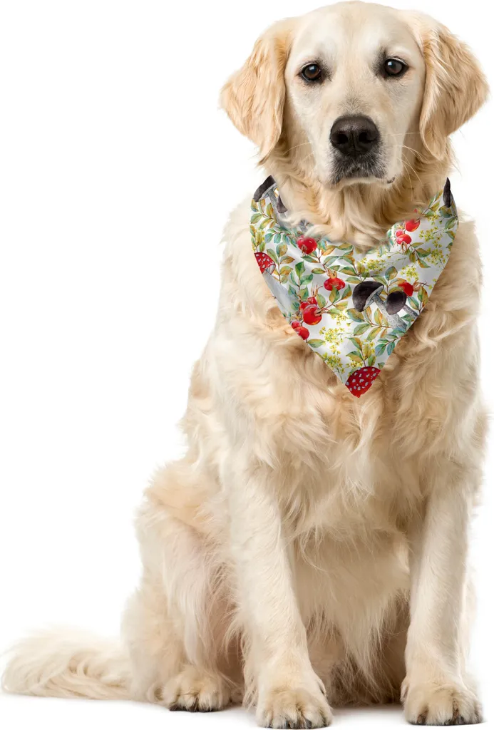 ABAKUHAUS Bandana per animali domestici con acquerello, rosa canina e amantia, 55x55 cm, multicolore