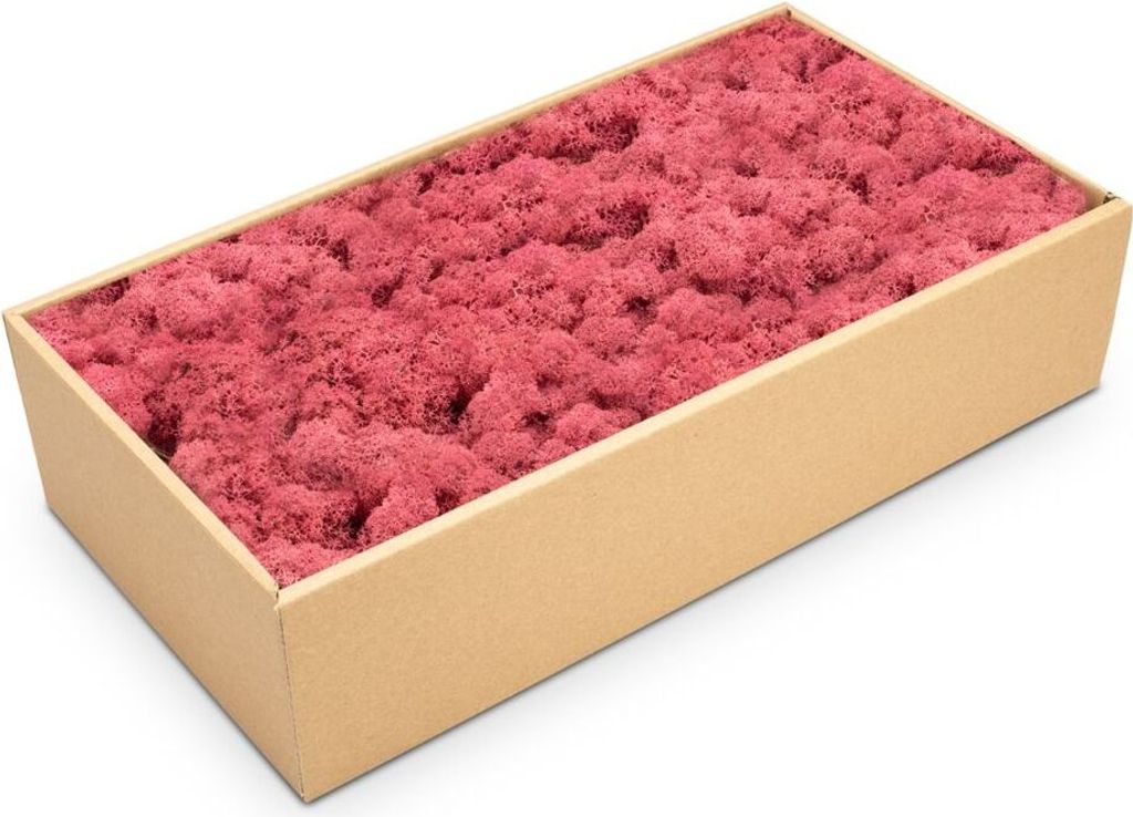 Islandmoos 500g in 30 Farben – Konserviertes Rentiermoos Natur, Farbe:Erika