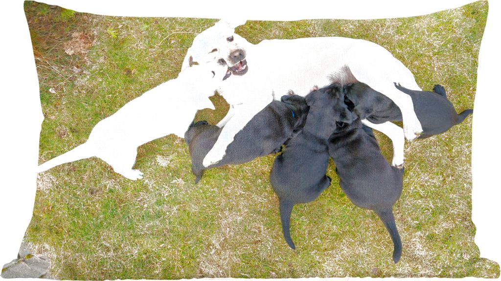MuchoWow Zierkissen Sofakissen Wohnzimmer Dekokissen 50x30 cm Hund mit vielen Welpen - Wohnzimmerdekoration - Polster mit Photo