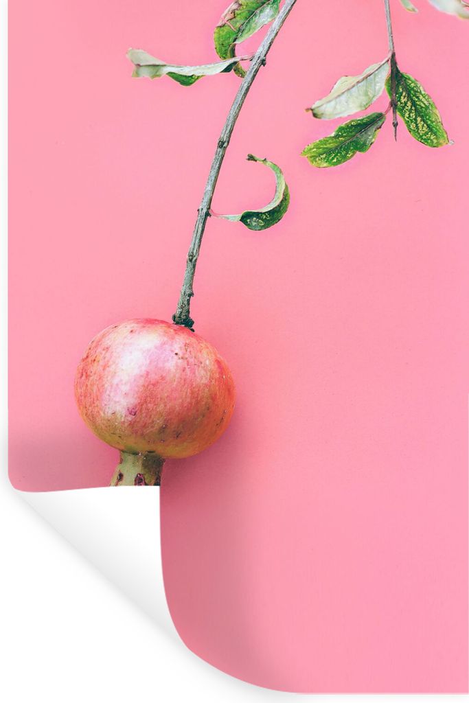 MuchoWow Wandtattoo Wandsticker Wandaufkleber Pflanzen - Sommer - Rosa 80x120 cm Selbstklebend und Repositionierbar - Repositionierbar - Wasser a...