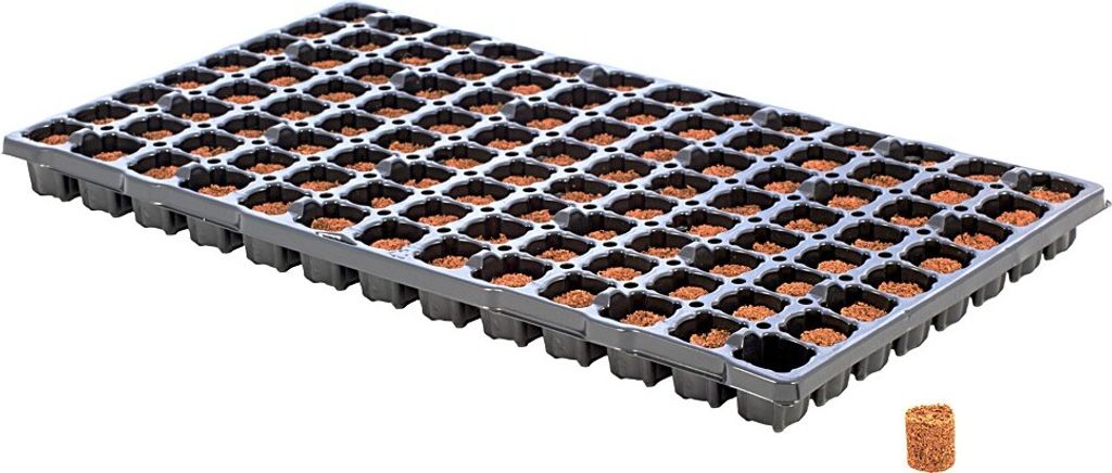 Eazy Plug Anzuchtwürfel CT104, rund, 3,5 x 2 cm, Tray mit 104 St. | Anzuchttray