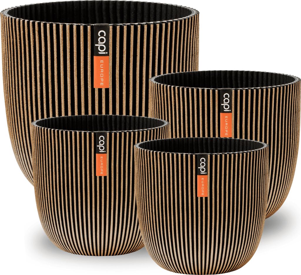 Capi Europe - Set regalo "Topf kugel Groove Made With" - Immagine del prodotto 